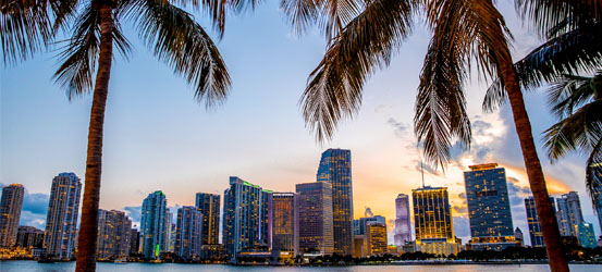 A view of downtown Miami