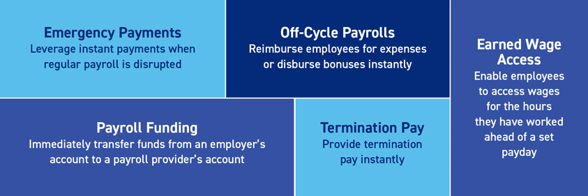 different use cases in which instant payments may be used