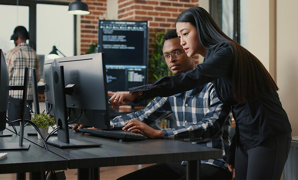 Two people looking at computer monitor